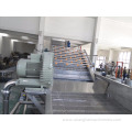 hot sale papaya processing cutting machine